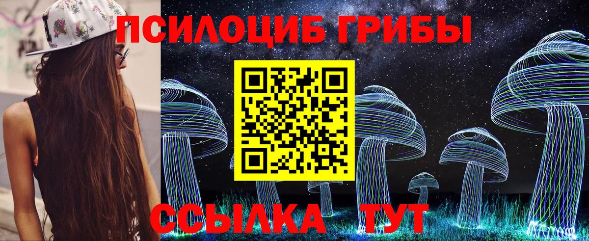 Псилоцибиновые грибы ЛСД  Вход с VPN  Выборг  Псилоцибиновые грибы прущие грибы 