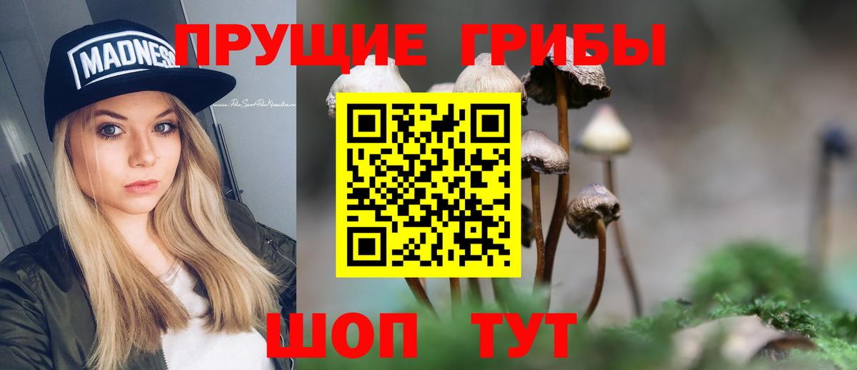 Псилоцибиновые грибы Magic Shrooms Выборг